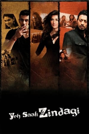 Yeh Saali Zindagi (2011)