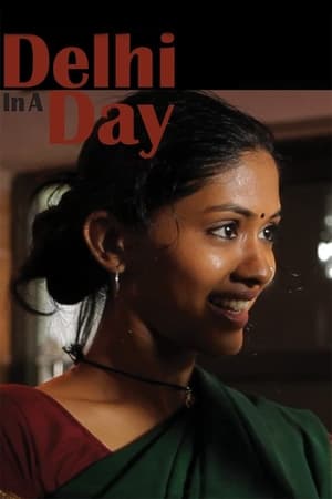 Delhi in a Day (2011)